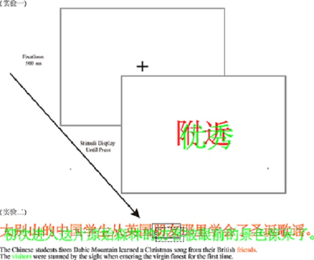 图1：实验流程图