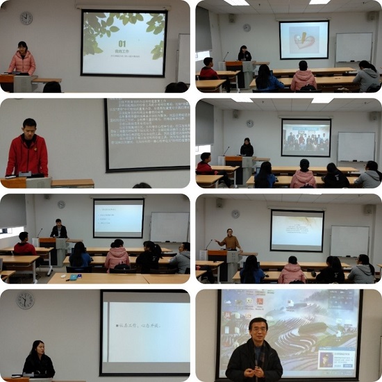 总结分享会个人报告